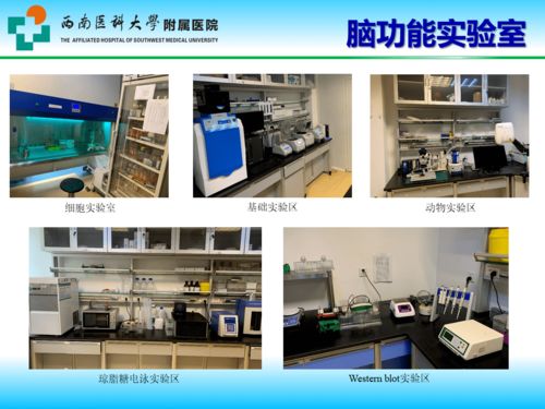 学科建设 四川省神外临床医学研究中心建设与发展 西南医大附院陈礼刚