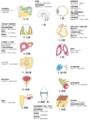 大阪大学实现iPS细胞制备视网膜的自动化量产,成本降九成!