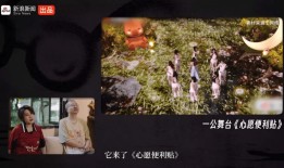 陈鲁豫、李诞、易立竞轮番上阵，新浪新闻出品的访谈为何能持续刷屏？